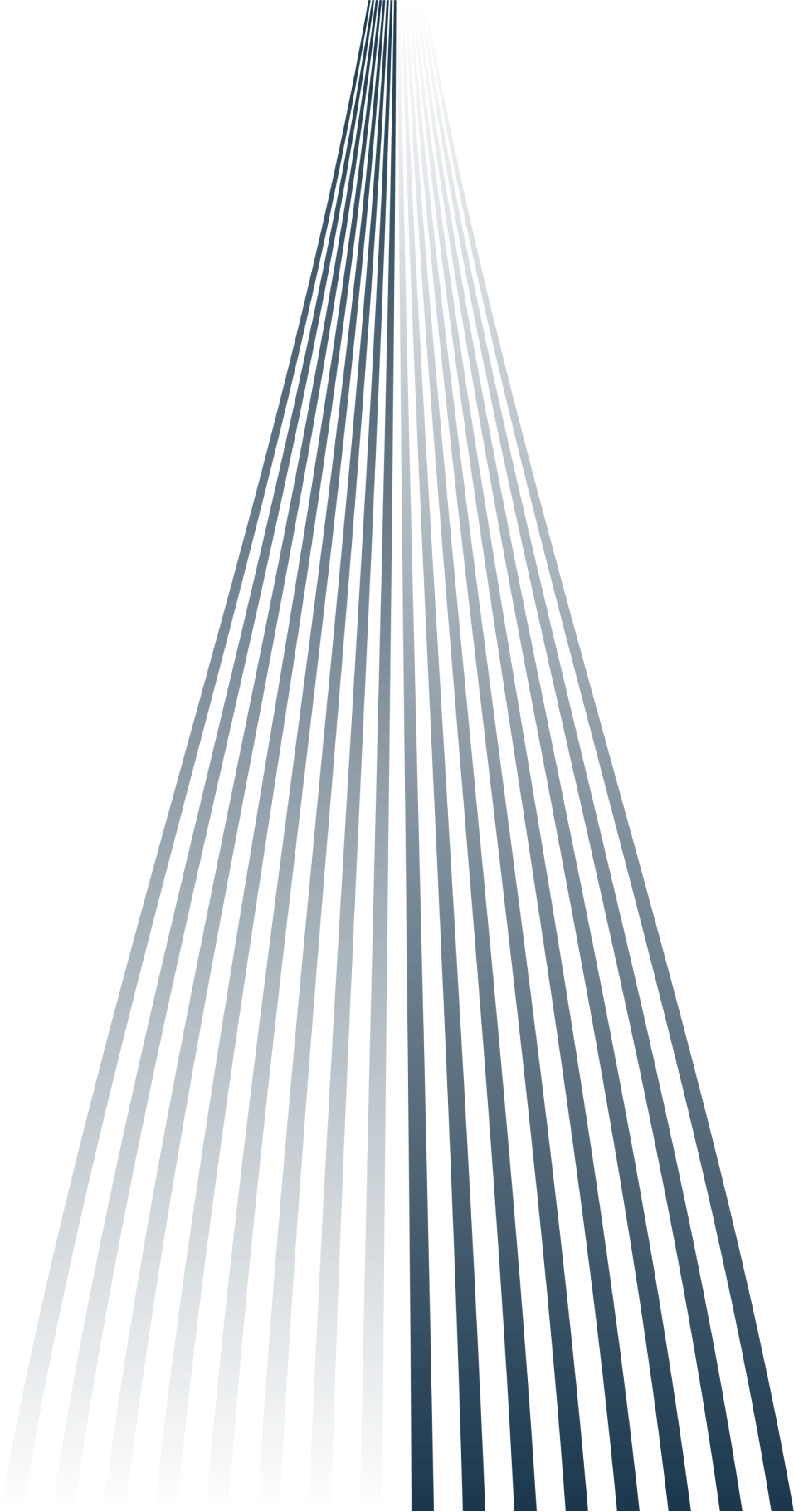 watermark