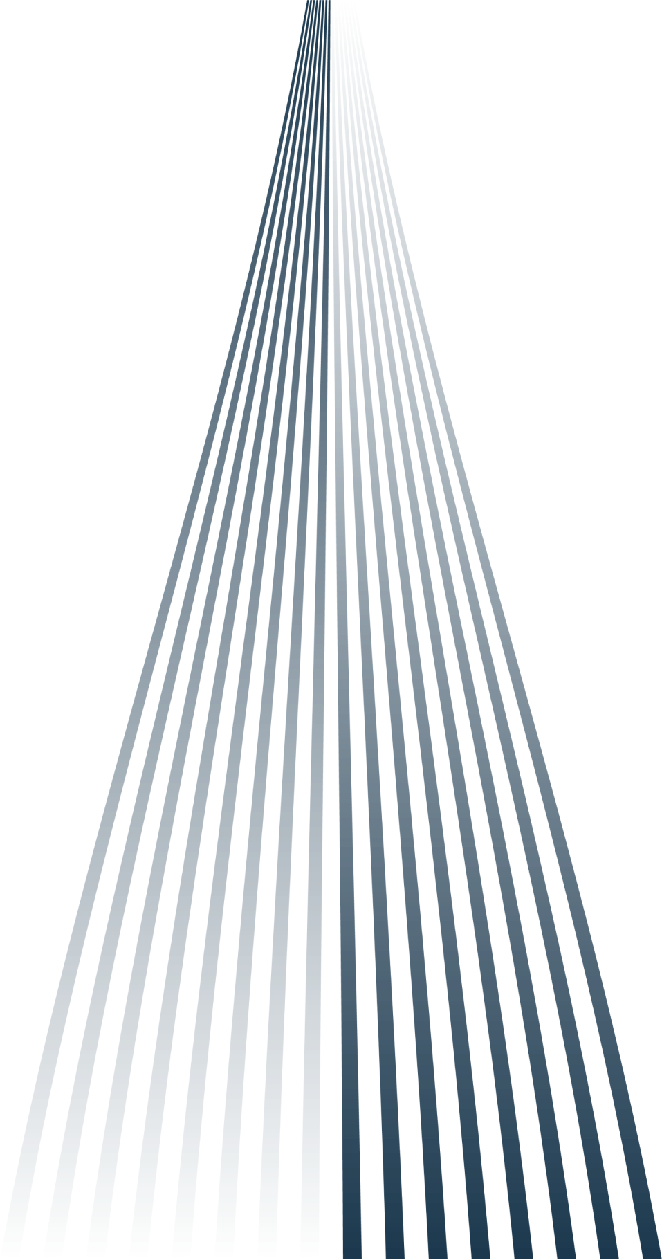 watermark