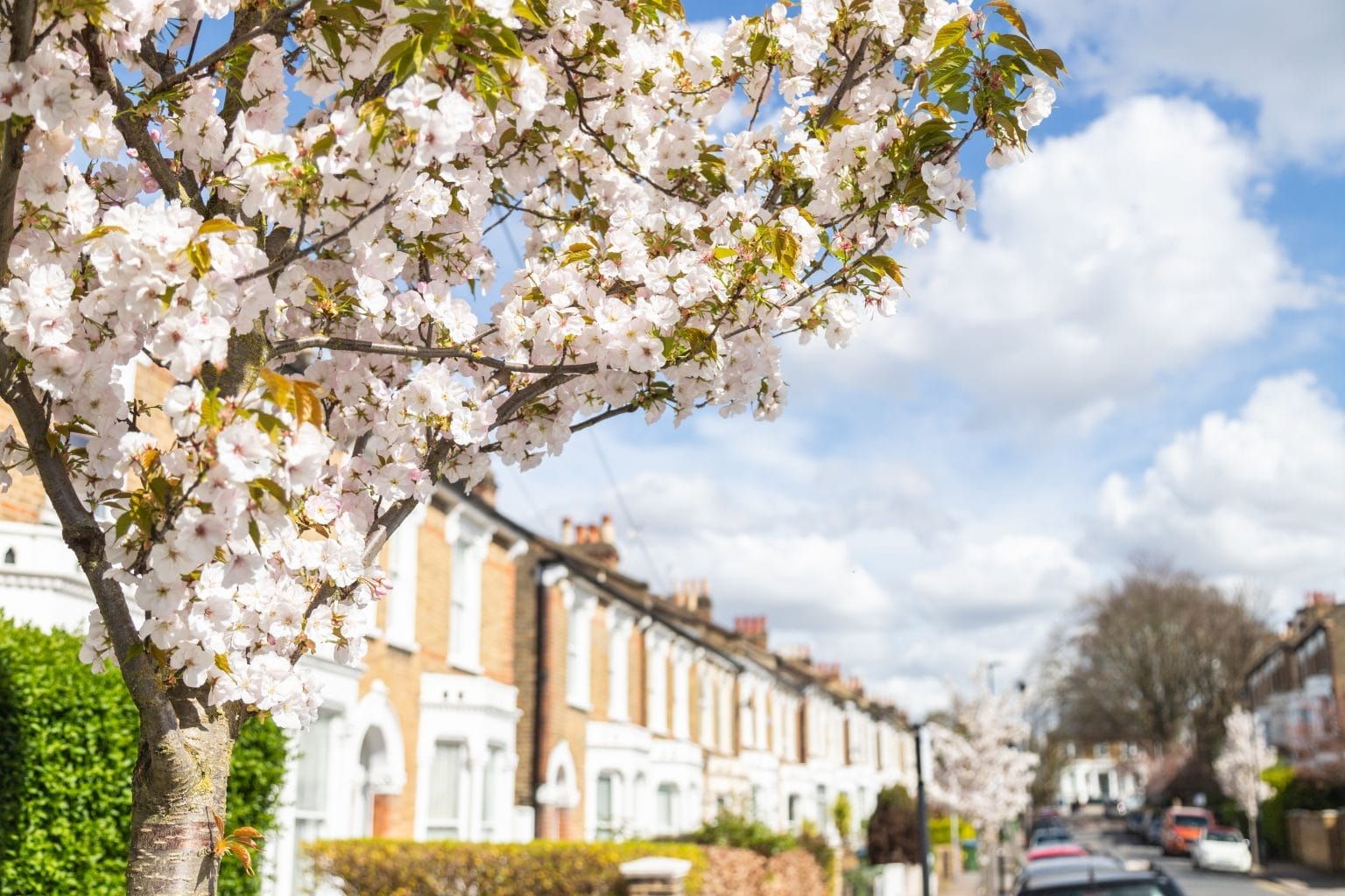 London suburban street in spring with blossoms on the tree